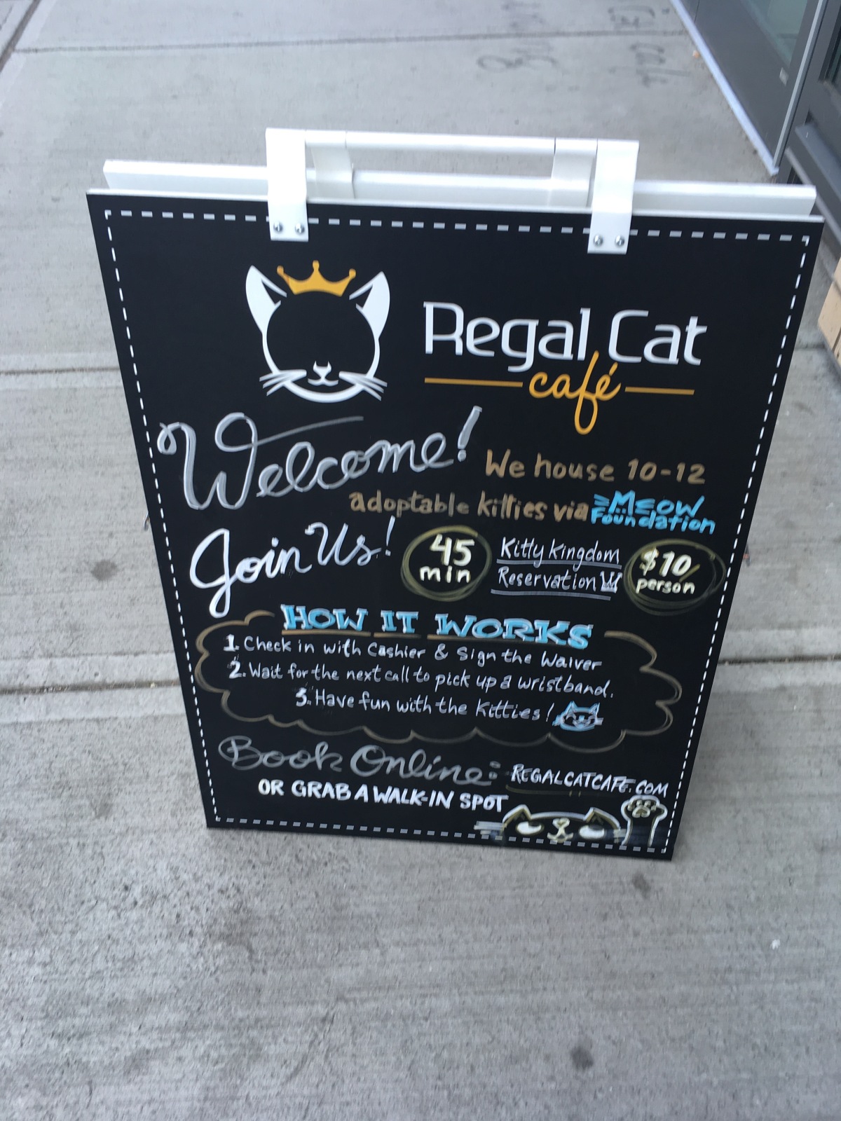 The Regal Cat Café